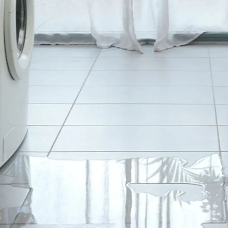 Appliance Leak Cleanup in Easton, CA