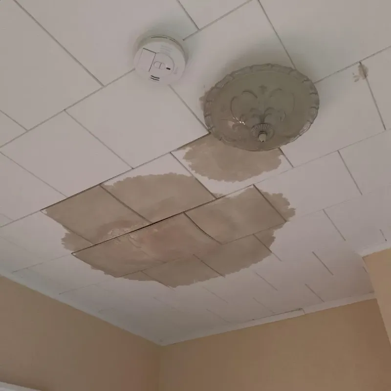 Ceiling Water Damage Repair in Easton, CA