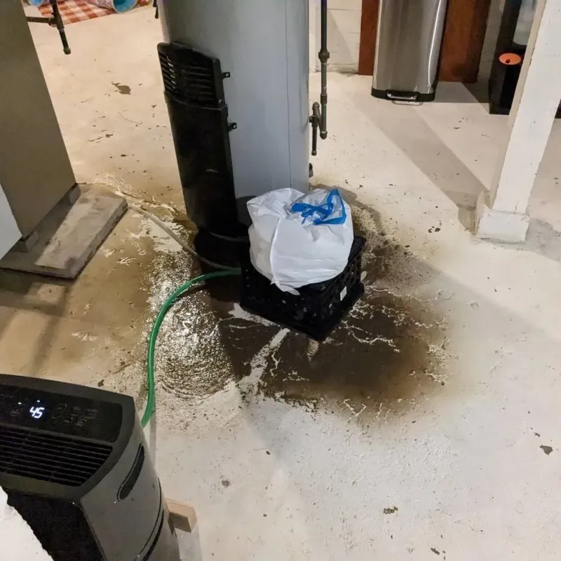 Sewage Backup Cleanup Service in Easton, CA